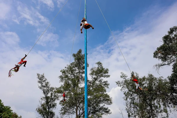 Mexico City, Meksika - Haziran 2021: Bir volador (uçan dansçı) Papantla, Meksika 'da geleneksel Danza de los Voladores performansını sergiliyor.