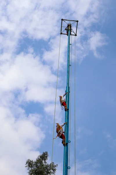 멕시코 멕시코 2021 Voladores Flyer Performance 그들은 막대기를 올라가 허리를 — 스톡 사진