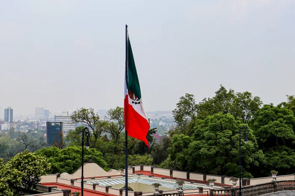 Mexico City Mexico June 2021 Flag Mexico Located Castle Chapultepec — стокове фото