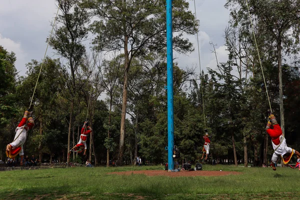 Mexico City, Meksika - Haziran 2021: Papantla 'nın el ilanlarının dansı, günümüze kadar korunmuş antik bir gelenek, insanlığın soyut mirası olarak kabul edilir..