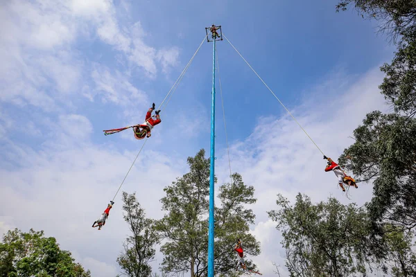 Mexico City, Meksika - Haziran 2021: Danza de los Voladores (Flyers Dansı) - Meksika 'da Chapultepec' te 