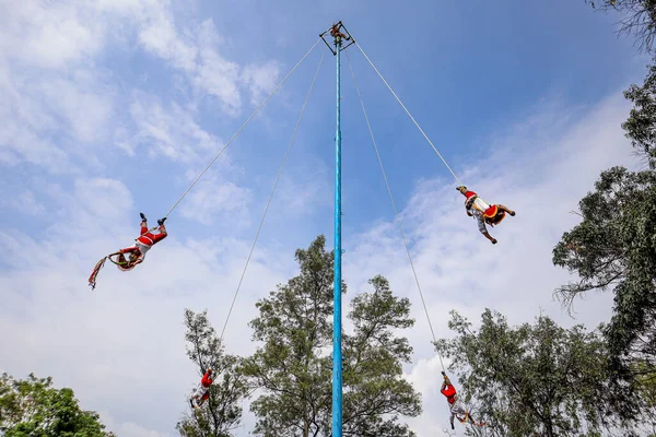 Mexico City Mexico Június 2021 Acrobat Előadók Danza Voladores Papantla — Stock Fotó