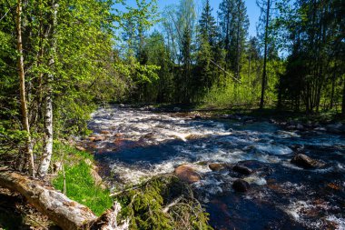 Norveç 'teki trollfoss ve pinas' a yürüyüş yolunda