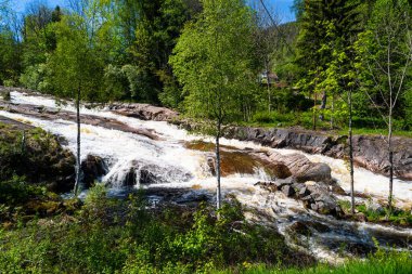 Norveç 'teki trollfoss ve pinas' a yürüyüş yolunda