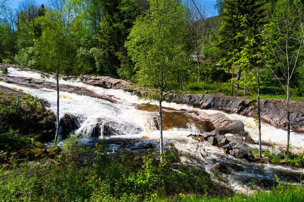 Norveç 'teki trollfoss ve pinas' a yürüyüş yolunda