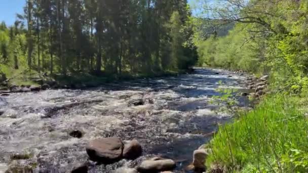 Řeka v Norsku, která pochází ze Svartangen teče přes drsné a padající skály za letního dne — Stock video