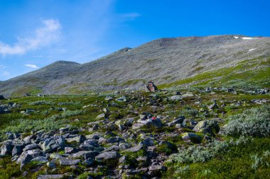 Norveç 'teki Gaustatoppen Zirvesi yolunda güzel bir yaz gününde