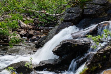 Taşların arasından geçen bir nehrin ve Norveç 'teki yeşil doğanın uzun vadeli fotoğrafları.