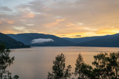 Norveç 'in Larvik yakınlarındaki Lgen Nehri' nde balıkçıların toplandığı uzun vadeli kayıtlar