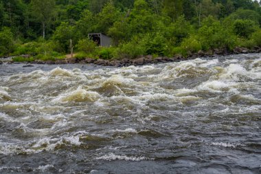 Norveç 'in Larvik yakınlarındaki Lgen Nehri' nde balıkçıların toplandığı uzun vadeli kayıtlar
