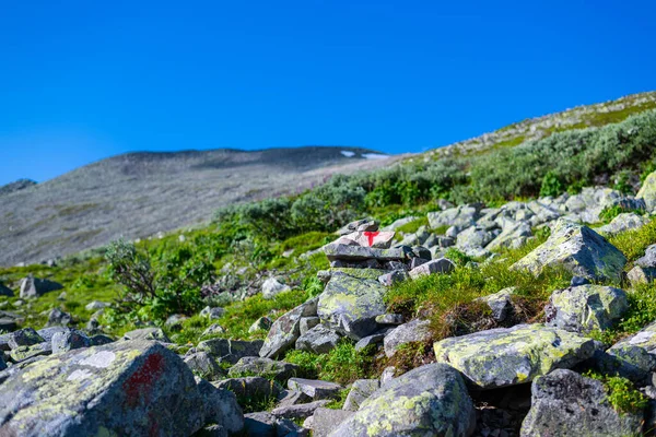 Norveç Teki Gaustatoppen Zirvesi Yolunda Güzel Bir Yaz Gününde — Stok fotoğraf