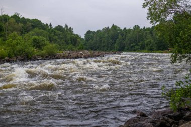 Norveç 'in Larvik yakınlarındaki Lgen Nehri' nde balıkçıların toplandığı uzun vadeli kayıtlar