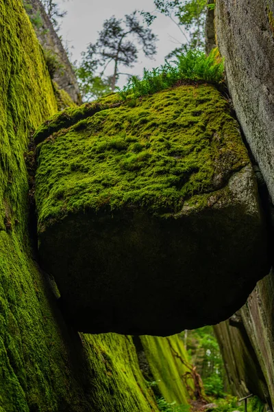 Una Ruta Senderismo Medio Naturaleza Cerca Larvik Noruega — Foto de Stock