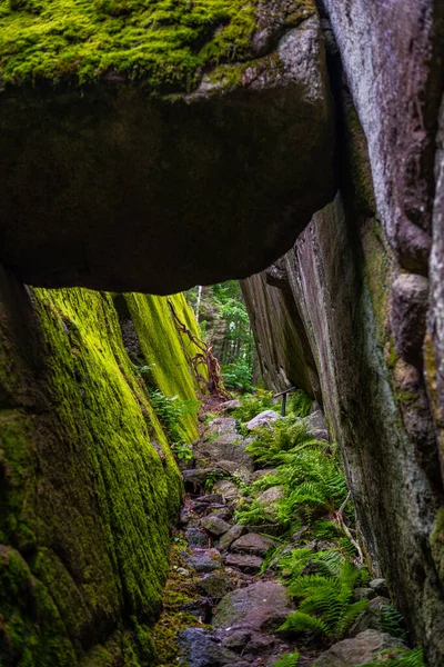 Una Ruta Senderismo Medio Naturaleza Cerca Larvik Noruega — Foto de Stock