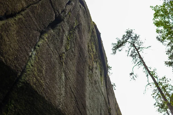 Uma Trilha Caminhada Meio Natureza Perto Larvik Noruega — Fotografia de Stock