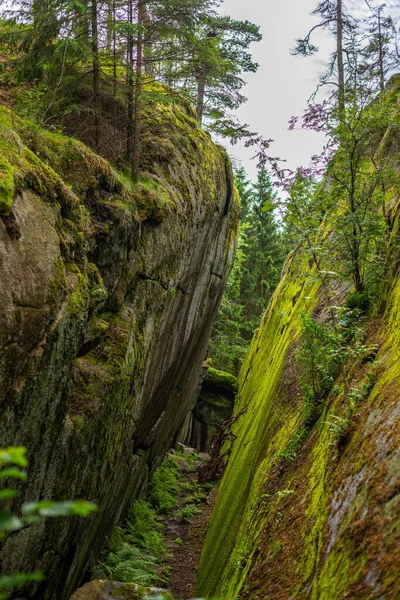 Sur Sentier Randonnée Pleine Nature Près Larvik Norvège — Photo