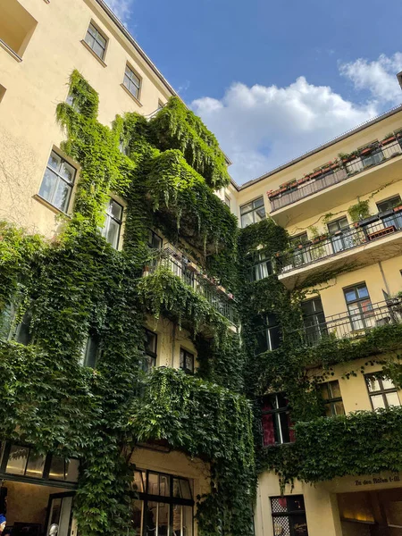 architecture of Berlin with green corners  and interesting backyards