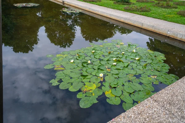 2021年7月25日ドイツ ベルリン ベルリンのトレップタワー公園からの写真 — ストック写真