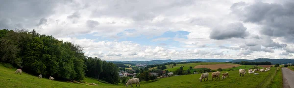 Yüksek. Güney Almanya ve Bergiegen bölgesindeki Spessart 'ın panoramik görüntülerinin çözünürlüğü