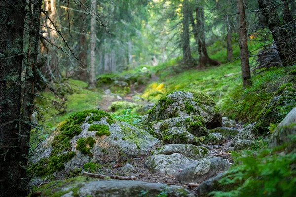 Rutas Senderismo Por Montaña Planos Del Paisaje Noruego — Foto de Stock