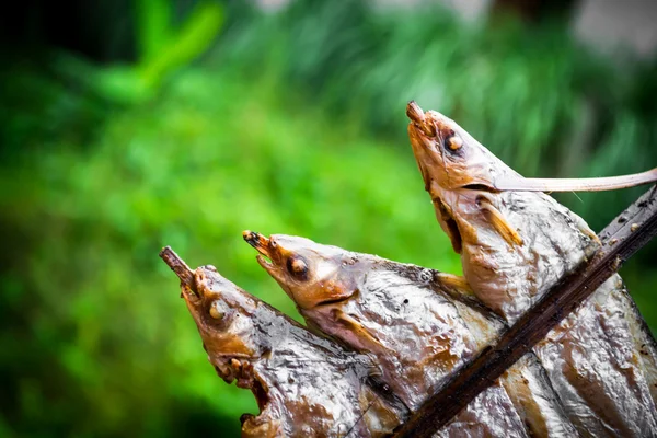 Gegrilde vis — Stockfoto