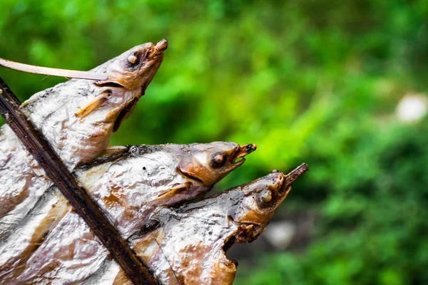 Gegrilde vis — Stockfoto