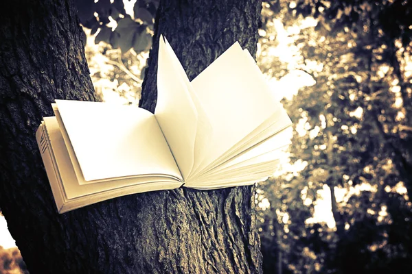 Deník na stromě — Stock fotografie