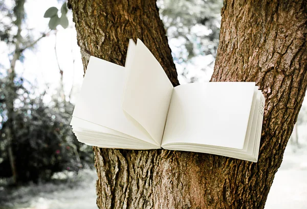 Дневник на дереве — стоковое фото