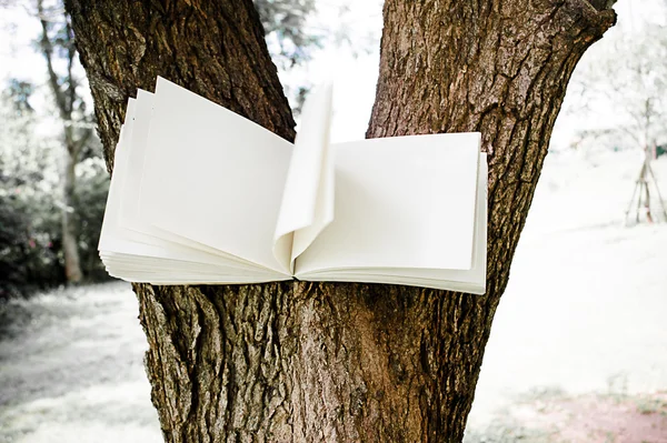 Tagebuch am Baum — Stockfoto