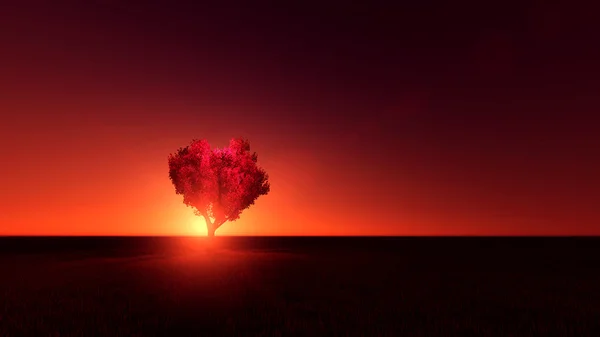 Heart tree — Stock Photo, Image