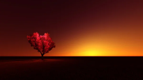 Kalp Ağacı — Stok fotoğraf