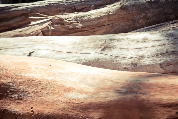 Textura del árbol de corteza para el fondo — Foto de Stock