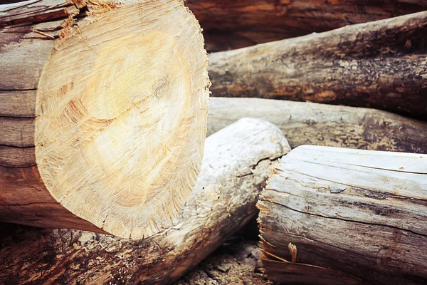 Hout in de fabriek — Stockfoto