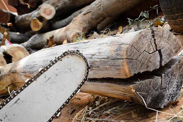 Mes voor snijden hout zagen — Stockfoto