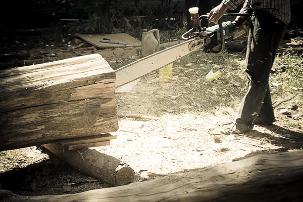Hoja de sierra para cortar madera —  Fotos de Stock