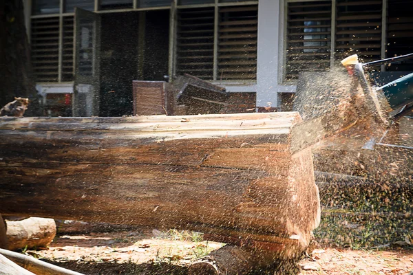 Lâmina de serra para corte de madeira — Fotografia de Stock