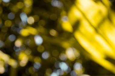 bokeh yaprak doğa arka plan 