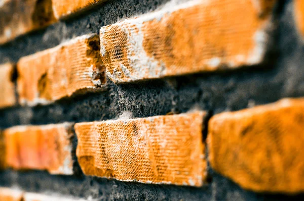 Ziegel mit schmutziger Mauer — Stockfoto