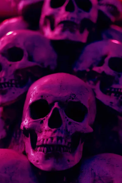 Heap of skulls purple lighting background. Vertical image of many human heads.