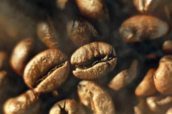 Aromatic coffee beans are roasted with smoke and steam. Macro photo of grain close up.