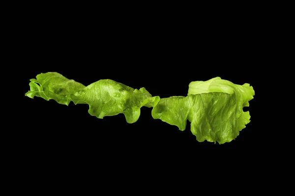 Lettuce Iceberg Blad Isolerad Svart Bakgrund Närbild Ingrediens — Stockfoto