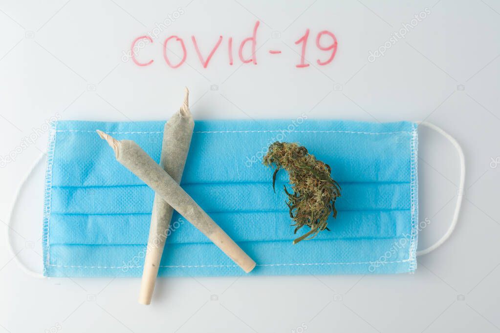 Marijuana prevention of coronavirus. Research on the effect of CBD, THC on the respiratory system and drug test. Covid 19 concept of marijuana use during an epidemic.