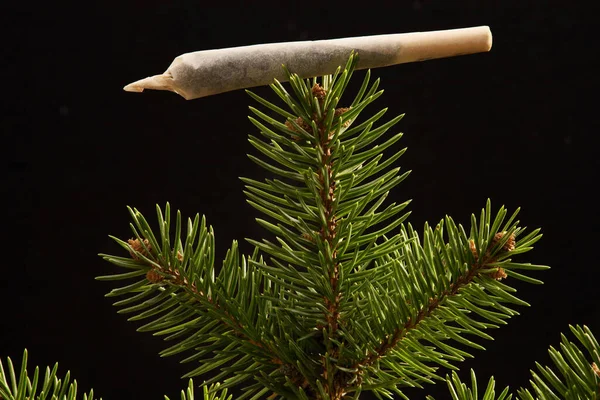 Εορταστικό Χριστουγεννιάτικο Δέντρο Ένα Κομμάτι Μαριχουάνας Μορφή Χριστουγεννιάτικου Δέντρου — Φωτογραφία Αρχείου