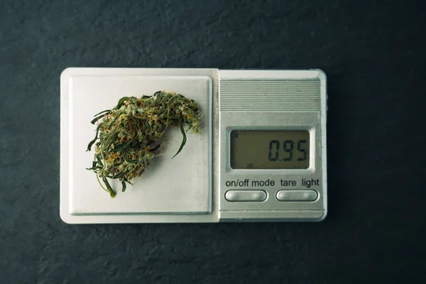 Ένα Μάτσο Μαριχουάνα Ζυγίζεται Μικρή Κλίμακα — Φωτογραφία Αρχείου