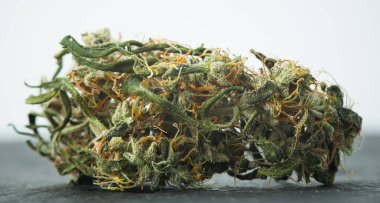 Kurutulmuş marihuana tomurcuğu. Büyük, yakın çekim makrosu. Doku kristalleri üç parçalı.