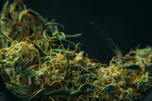 Αποξηραμένα Μπουμπούκια Μαριχουάνας Κρύσταλλοι Υφής Τριχοειδή — Φωτογραφία Αρχείου