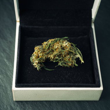 Yüzük kutusunda esrar tomurcuğu. Evlilik teklifi ve komik marihuana kavramı.