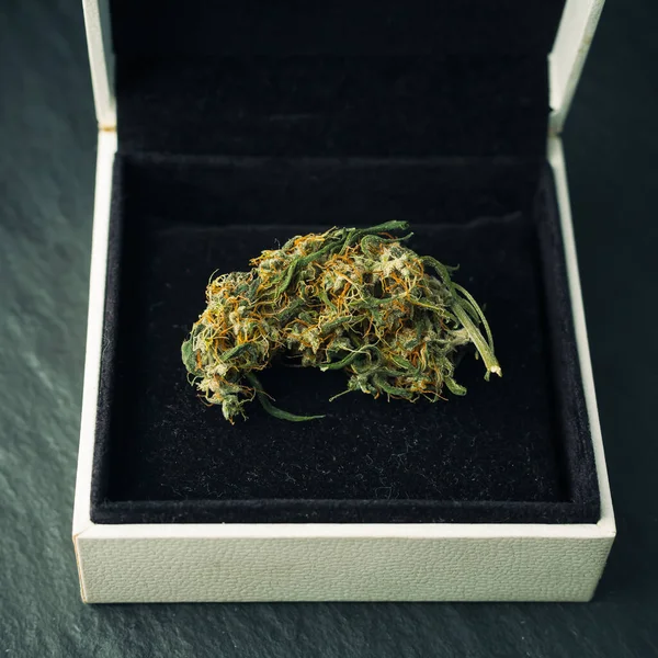 Yüzük Kutusunda Esrar Tomurcuğu Evlilik Teklifi Komik Marihuana Kavramı — Stok fotoğraf