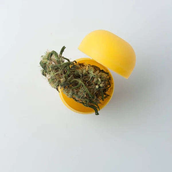 Cannabis Bud Překvapivé Žluté Krabice Bílém Pozadí — Stock fotografie