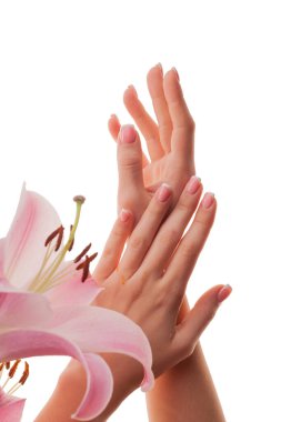 Beyaz arka planda Fransız manikürlü ve zambak çiçekli bir kadın eli..